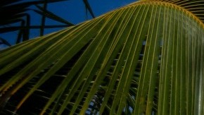 Punta Cana es uno de los destinos turísticos más populares de República Dominicana.