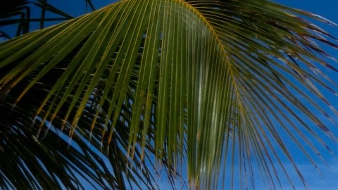 Punta Cana es uno de los destinos turísticos más populares de República Dominicana.