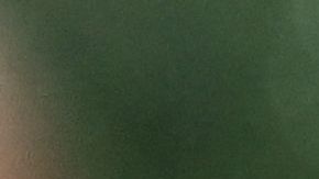 Shakira ya está viviendo en Miami junto a sus hijos.