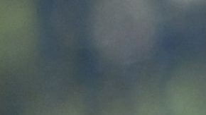 Luchas contra la violencia doméstica y los feminicidios.