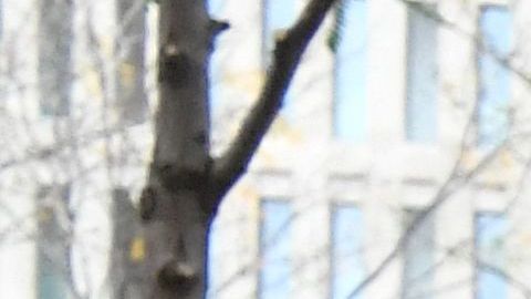 La familia de Shakira ya habría abandonado la casa en Barcelona tras la carta del papá de Piqué.