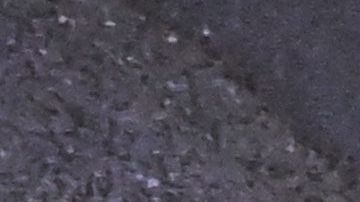 Autoridades de China arrestan a editor que publicó libros críticos sobre el Partido Comunista chino