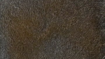 Zoológico en Colombia