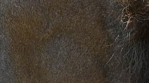 Zoológico en Colombia
