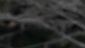 Un testigo vio al hombre filmando un video debajo de la falda de una mujer de 18 años.