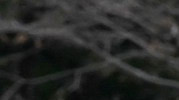 Un testigo vio al hombre filmando un video debajo de la falda de una mujer de 18 años.