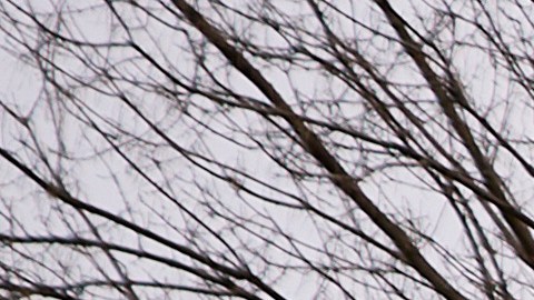 Environmental And Health Concerns Grow In East Palestine, Ohio After Derailment Of Train Cars Containing Hazardous Material