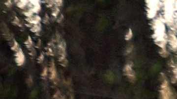 Imagen de la escuela The Covenant en Nashville tras el tiroteo.