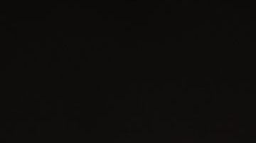 El estudio se centró en la exposición a microplásticos en ratones.