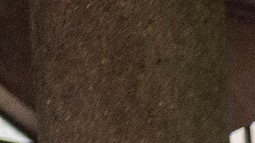 Cientos de parejas contrajeron nupcias al mismo tiempo en Sudáfrica.