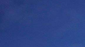 Tiroteo en banco de Louisville, Kentucky