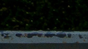 Revelan imágenes del tiroteo en una sucursal de Old National Bank.