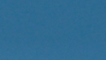 El jugador venezolano es el único con 20 imparables y cinco bases robadas en la temporada.