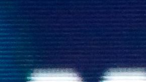 Trump dijo además que Carlson tenía muy buenos números de audiencia.