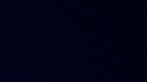 Wander Franco jugador de los Tampa Bay Rays.