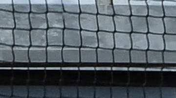 Los fanáticos del Angers se bajaron los pantalones en pleno partido.