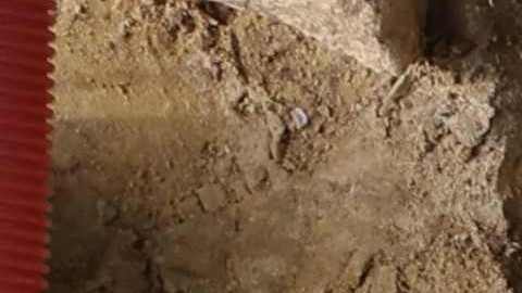 Un arqueólogo trabaja en una antigua necrópolis en la estación de metro de Port-Royal en París.