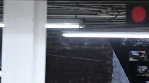 La víctima fue recuperada con ayuda de un perro robótico.