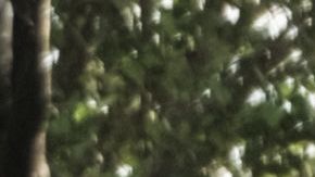 KENYA-CRIME-RELIGION-CULT