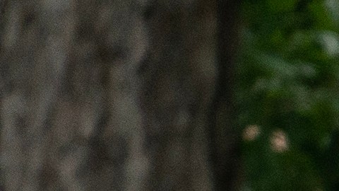 De los cinco fallecidos, tres eran mujeres, uno era un varón y el último era un niño de 8 años.