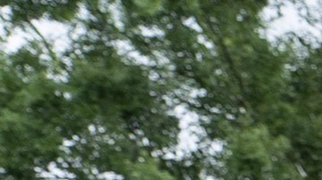 Gunman Kills Neighbors In Cleveland, Texas After They Asked Him To Stop Shooting AR-15-Style Rifle In His Yard