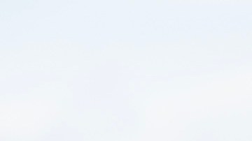 El tirador fue identificado como Francisco Oropeza y se ofreció una recompensa de $5 millones de dólares por su paradero.