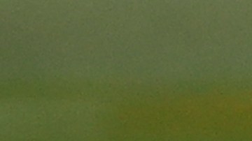 Los Titans tendrán nuevo estadio.