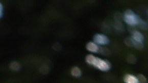 Este año habrá eventos hasta el 30 de junio, mes en que a nivel nacional se celebra el Mes Nacional de la Herencia Inmigrante.