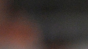 El exjugador consiguió un total de 10 Guantes de oro en su carrera.