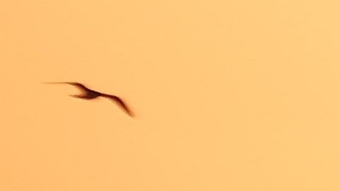 El calor acumulado en la Tierra ha aumentado en un 50%.