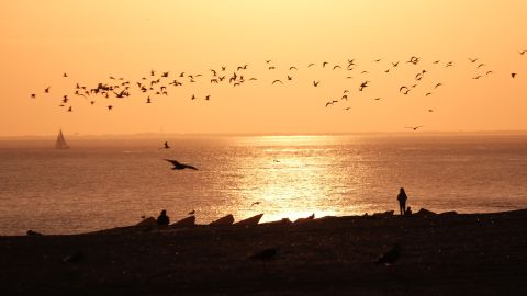El calor acumulado en la Tierra ha aumentado en un 50%.