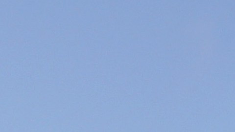 Amtrak May Reduce Long-Distance Service Due To Unvaccinated Workers