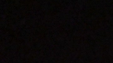 En el video se escucha a la madre gritando de terror cuando el sospechoso huyó de la escena.