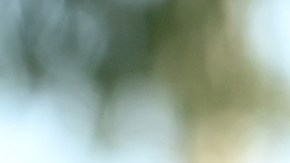 La solicitud de divorcio fue presentada por Hiba Abouk exigía la mitad de sus bienes.