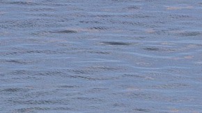 Guardia Costera estadounidense intercepta un bote de migrantes.