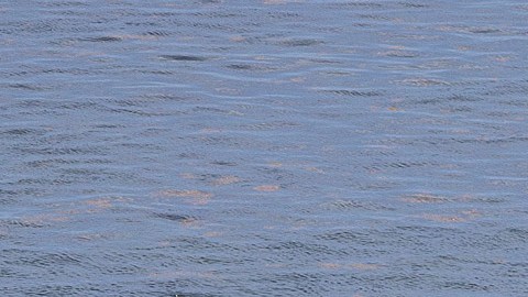 Guardia Costera estadounidense intercepta un bote de migrantes.