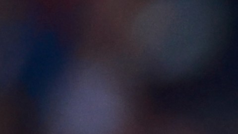 El portero de los Pumas de la UNAM aseguró que deben luchar para clasificar al repechaje de la Liguilla.