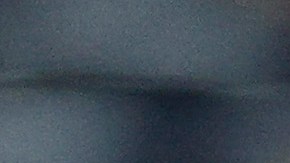 Carlos Carrasco lanzador de los New York Mets.