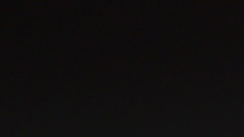 Jorge Almirón es el nuevo entrenador del Boca Juniors.