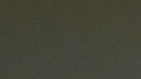 El actor Daniel Radcliffe se encuentra de celebración tras el nacimiento de su bebé.