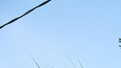 Dos de los cubanos devueltos "fueron trasladados a los órganos de investigación".