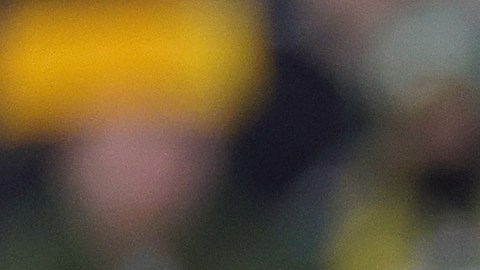 Aaron Rodgers durante un encuentro ante Detroit Lion.