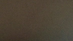 Brandon Vázquez jugará con la selección de Estados Unidos.