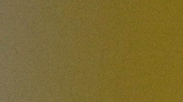 Nagelsmann fue despedido del Bayern de Múnich a fines de marzo tras la fecha FIFA.