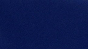 Jugadores de los Tampa Bay Rays.