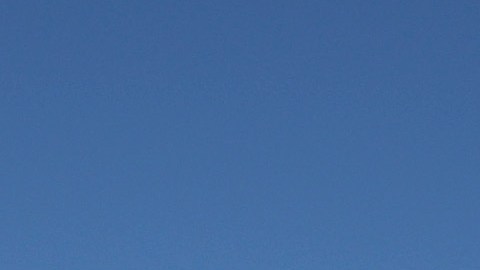 El fanático sacrificó su ingreso al Dodger Stadium por un año a cambio del sí en la propuesta.