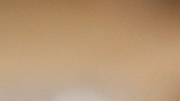 Las Águilas del Club América se perfilan como los favoritos para la IA.