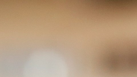 Las Águilas del Club América se perfilan como los favoritos para la IA.