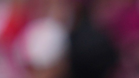 Valentín Castellanos le anotó cuatro goles al Real Madrid.