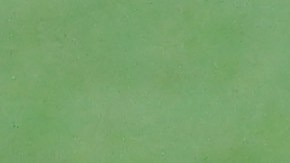 Randy Arozarena lleva dos cuadrangulares en la temporada.